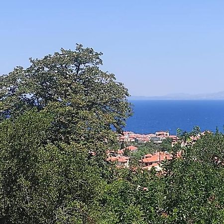 Studios Akrotiri Митилини Экстерьер фото